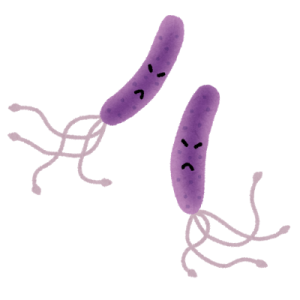 virus_pylori_pirorikin
